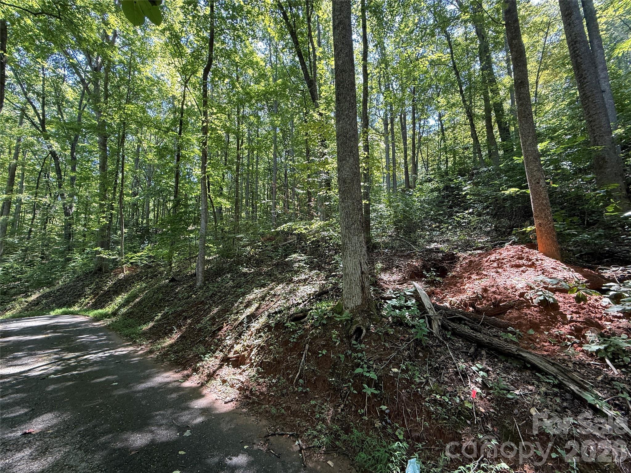 Lot 114 High Pines Loop Property Photo 8