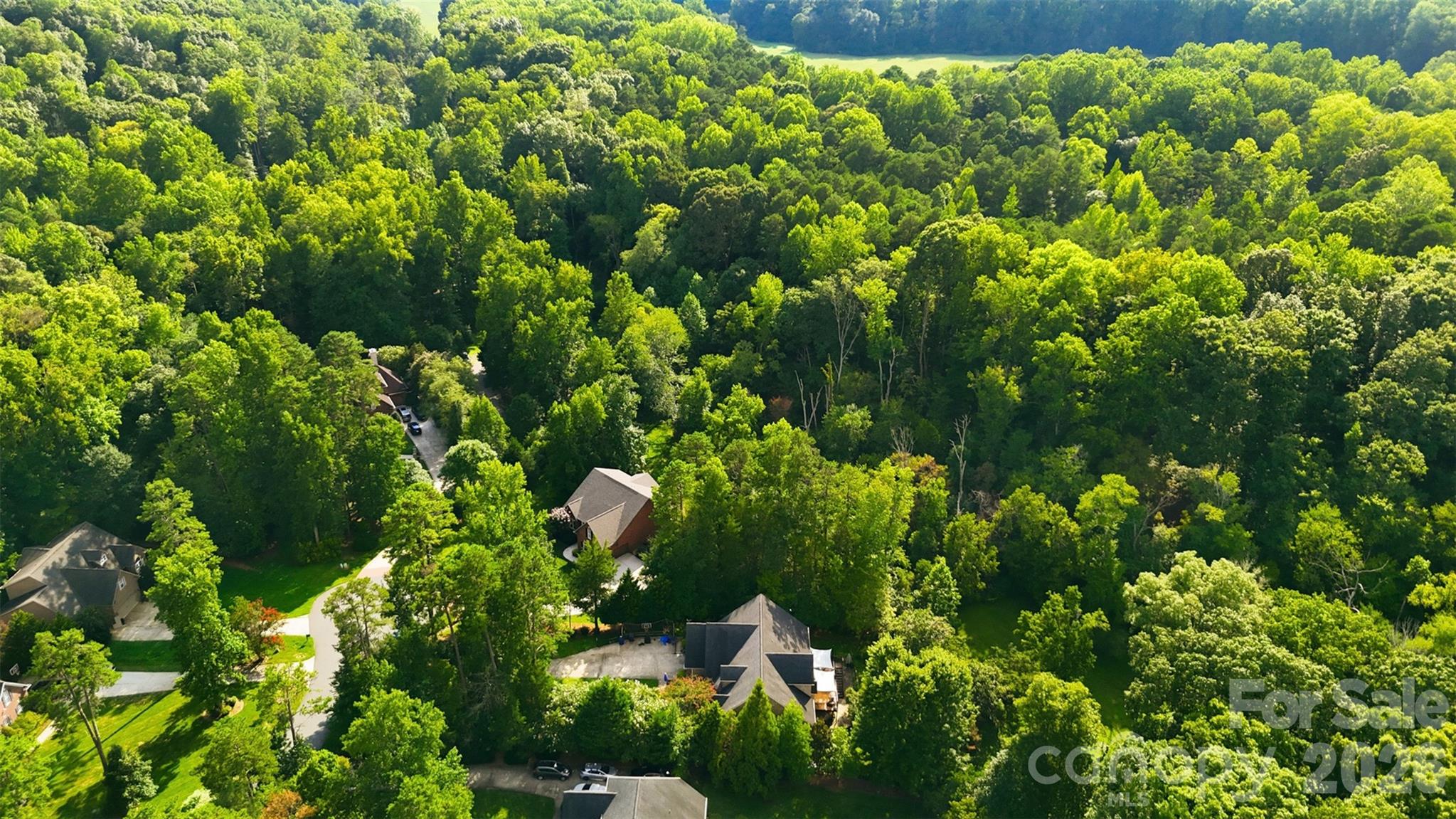 254 Streamside Place Property Photo 45