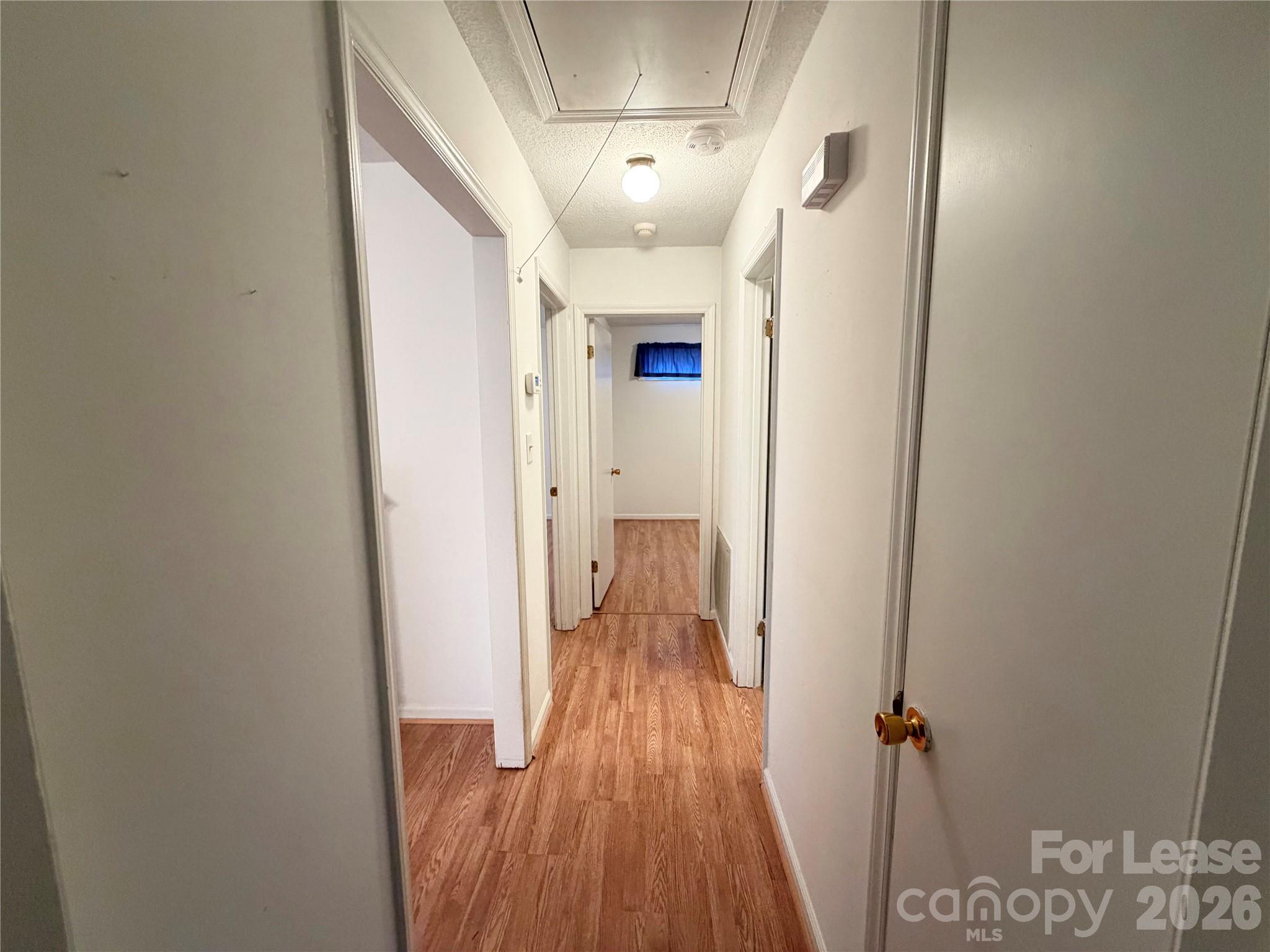 509 Barringer Street Property Photo 14
