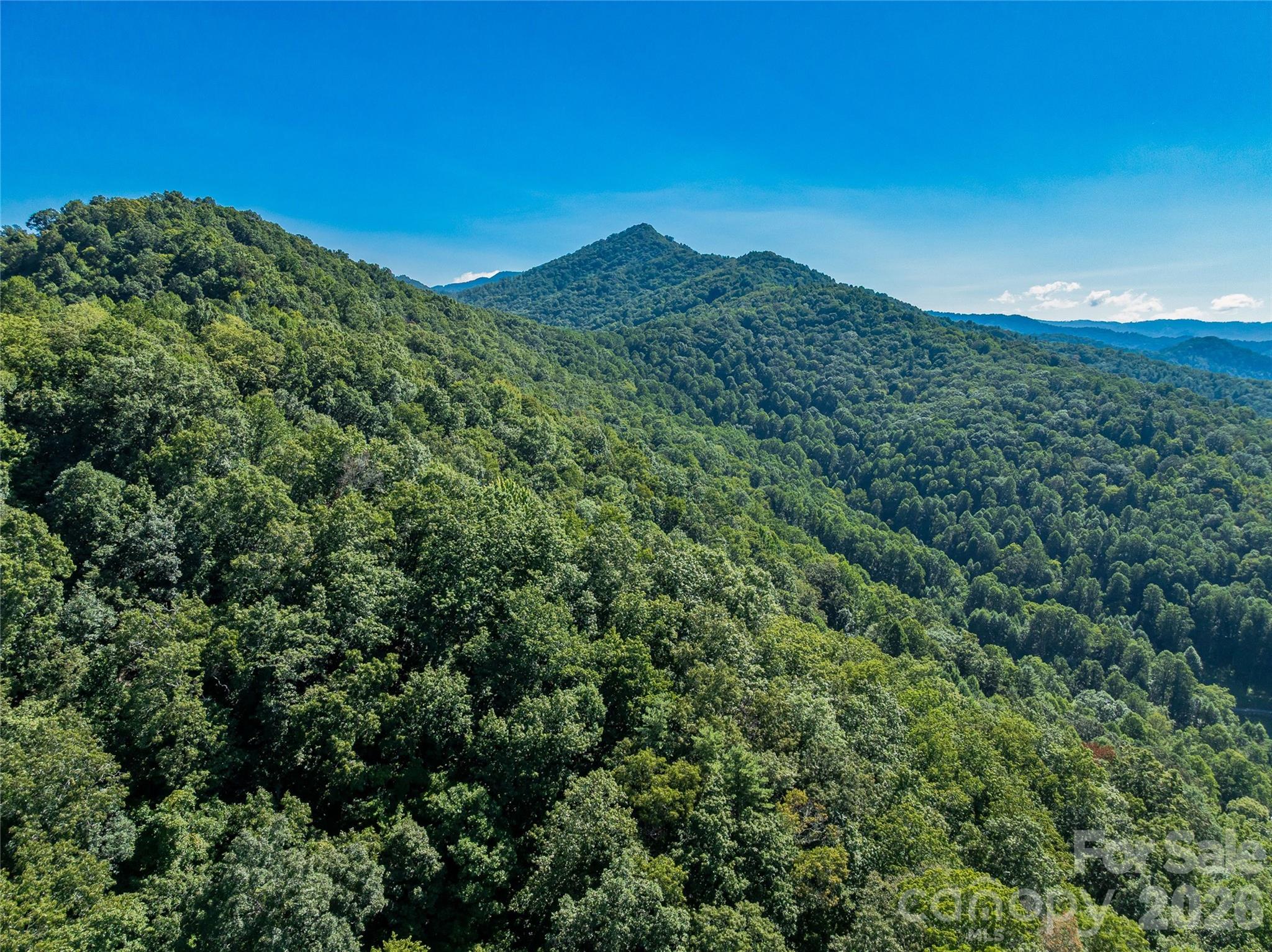 9999 Panther Creek Road B Property Photo 16