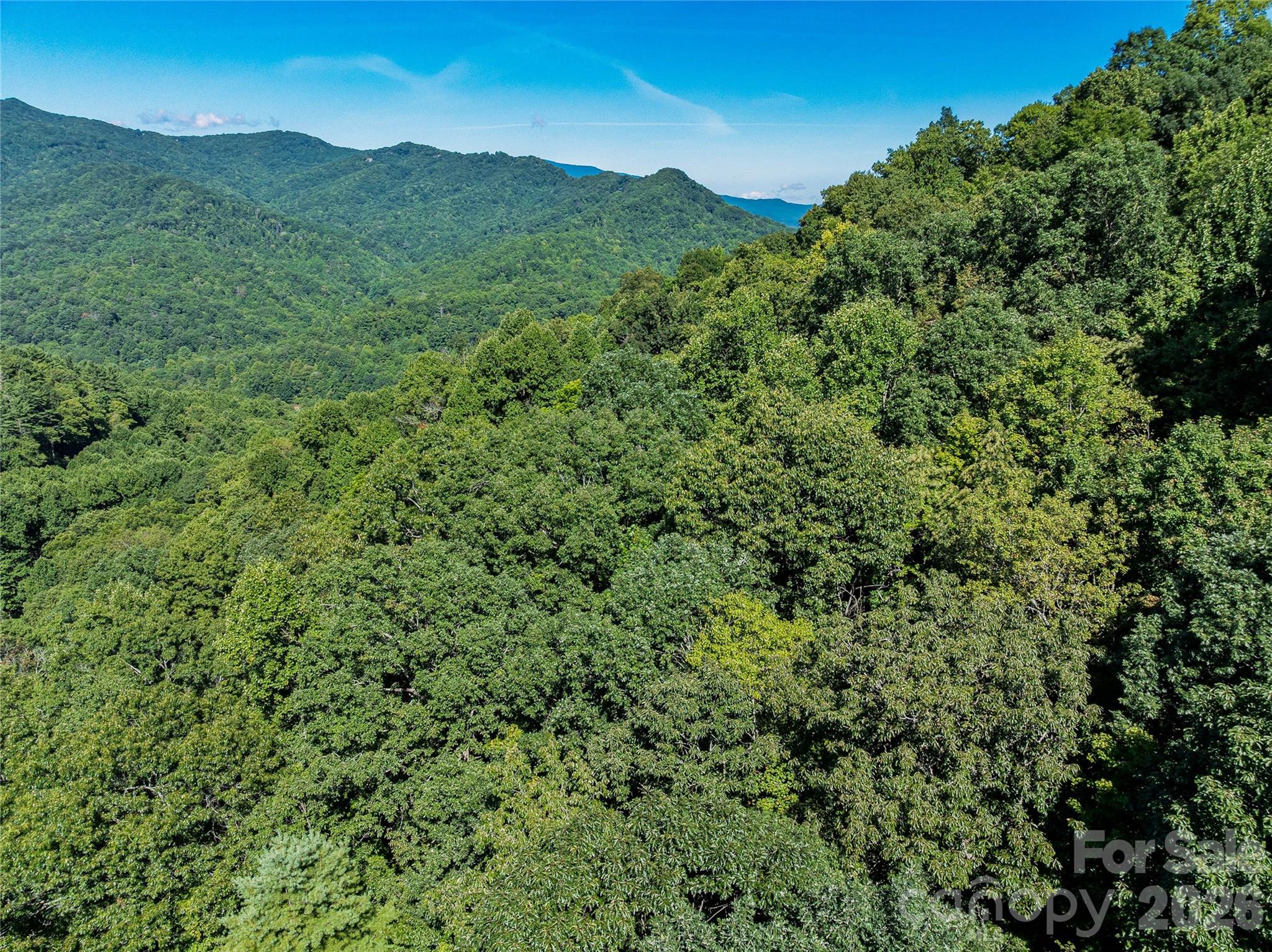 9999 Panther Creek Road B Property Photo 17