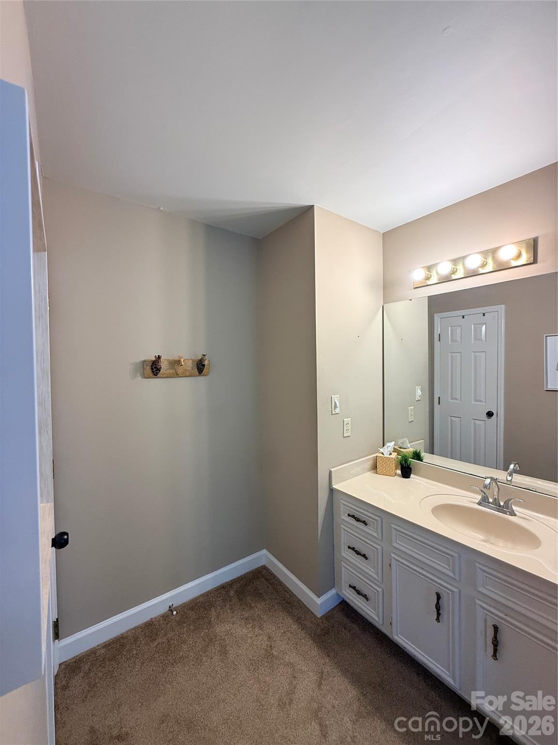 106 Webbed Foot Road Property Photo 41