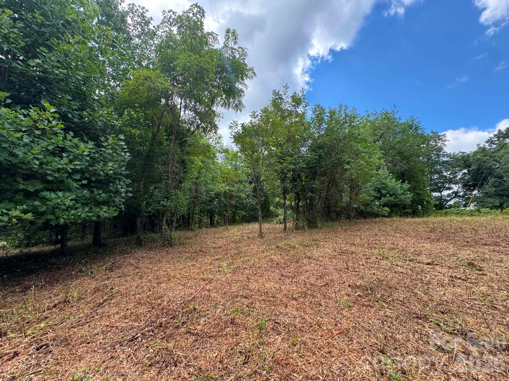 Tbd Wind Ridge Road Property Photo 3