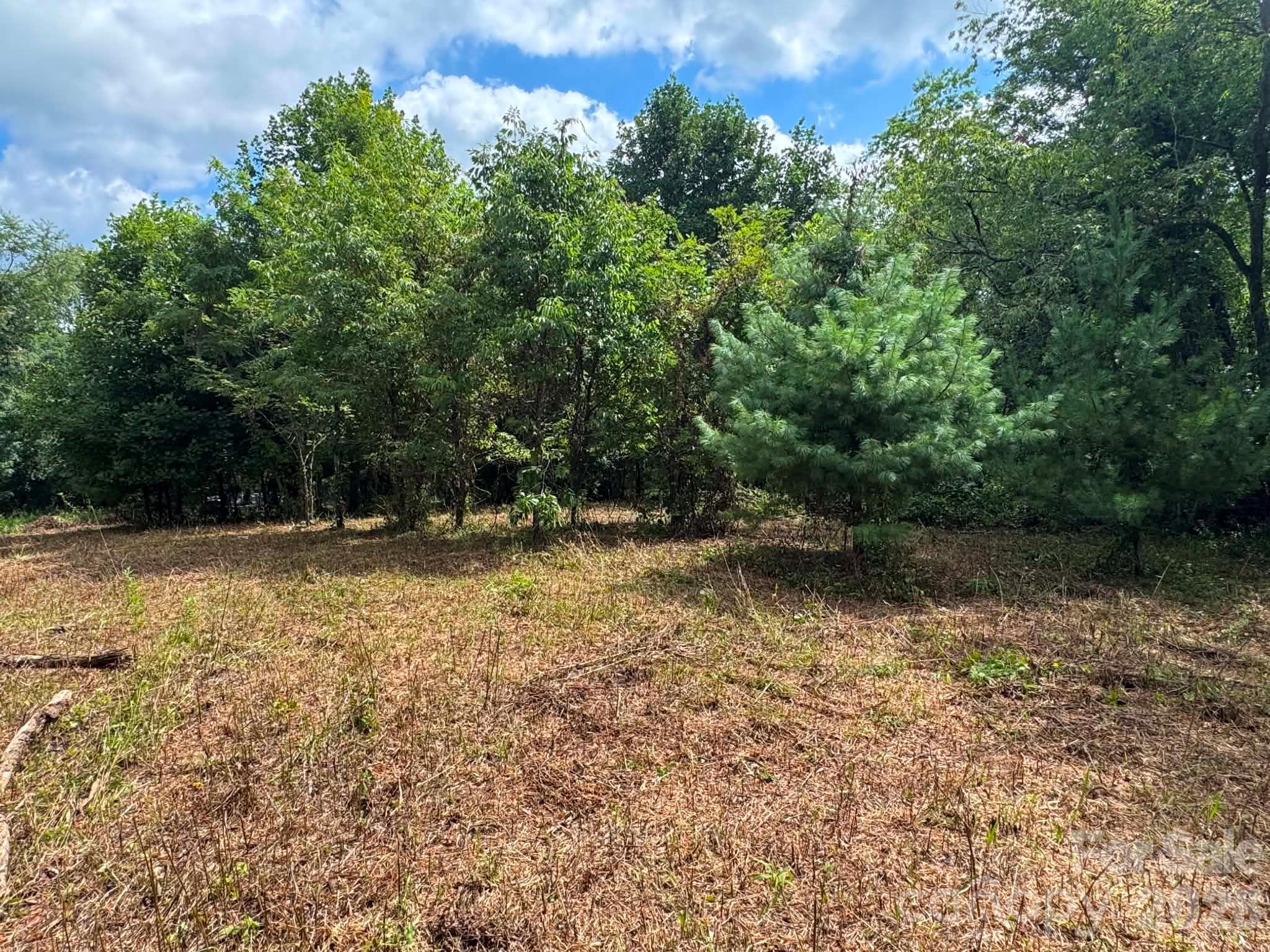 Tbd Wind Ridge Road Property Photo 4