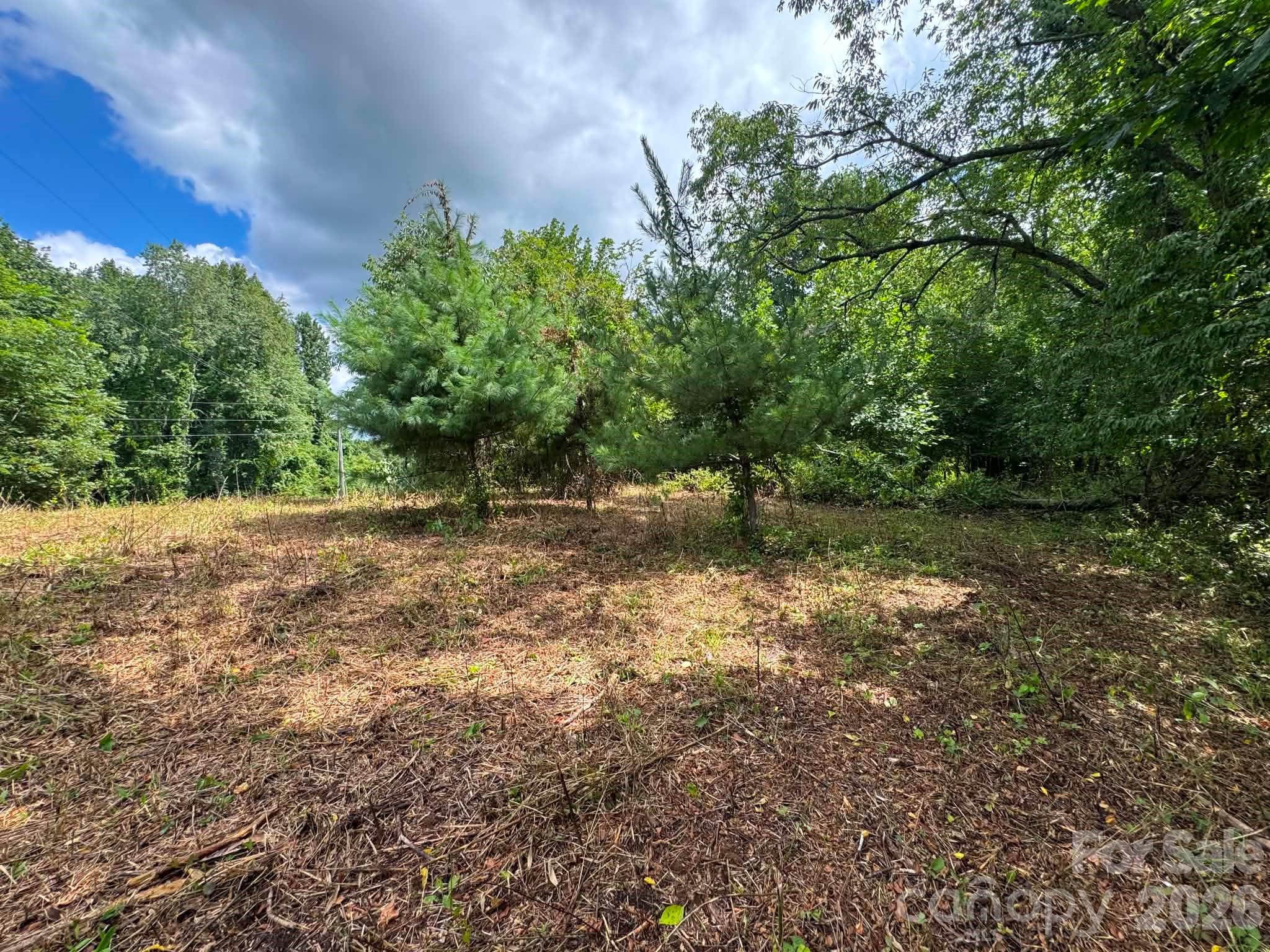 Tbd Wind Ridge Road Property Photo 5