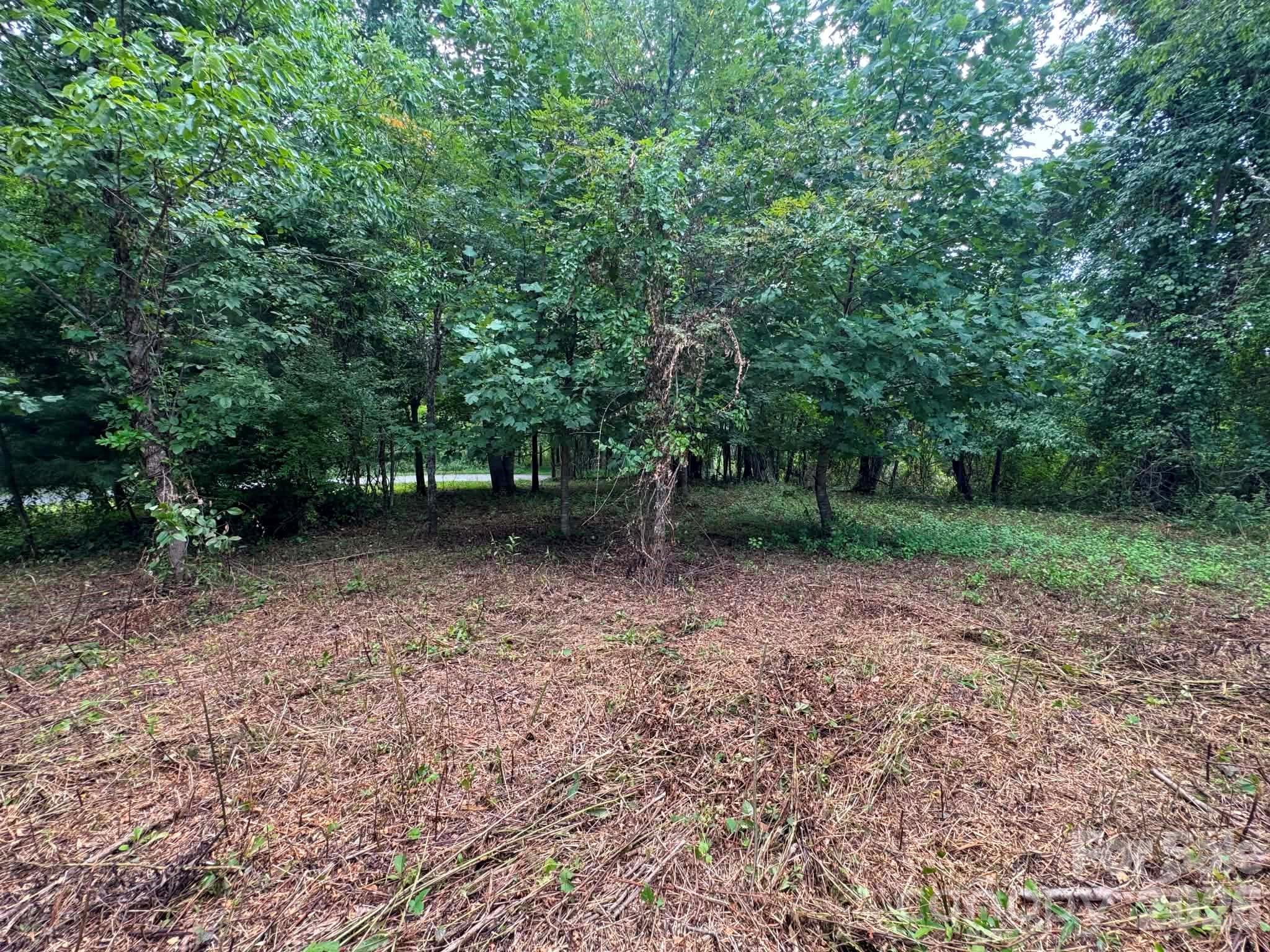 Tbd Wind Ridge Road Property Photo 6