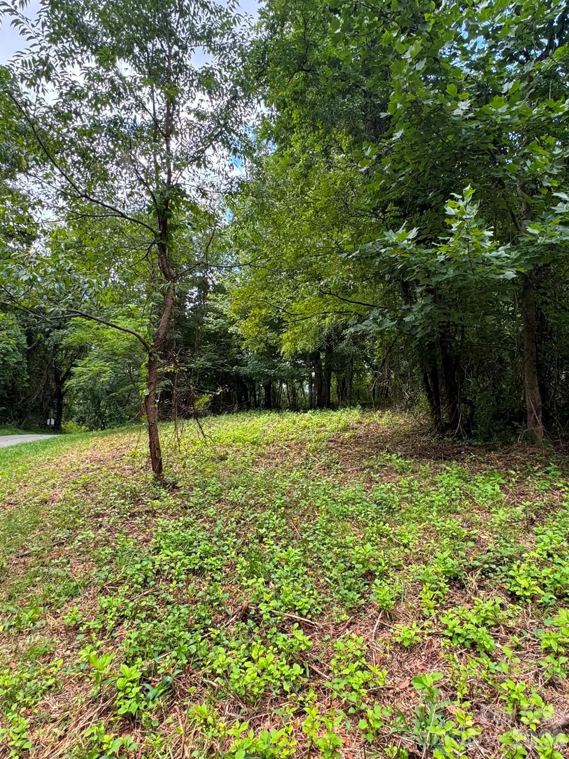 Tbd Wind Ridge Road Property Photo 8