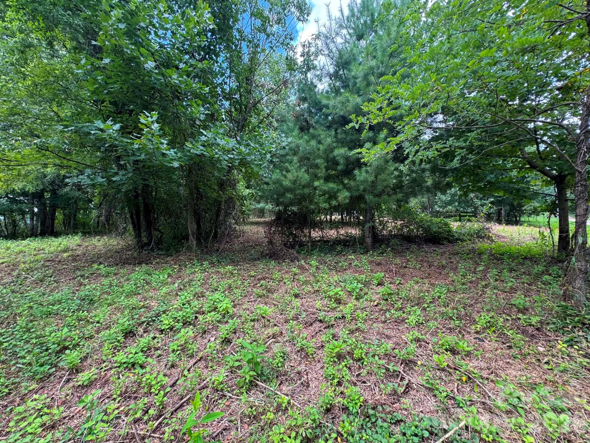 Tbd Wind Ridge Road Property Photo 9