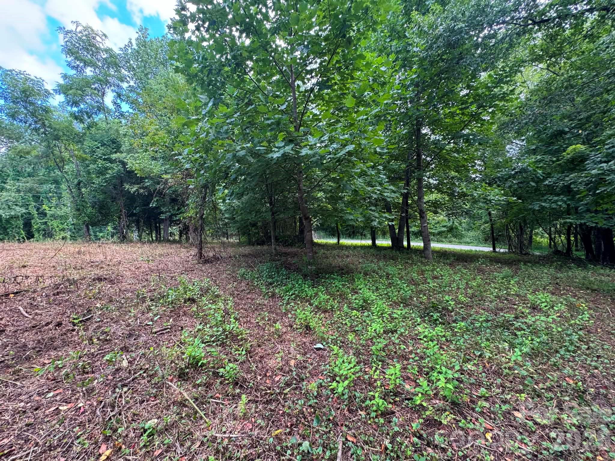 Tbd Wind Ridge Road Property Photo 11