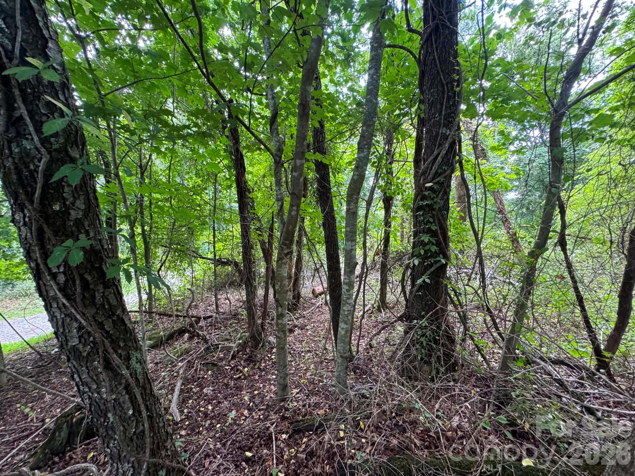 Tbd Wind Ridge Road Property Photo 12