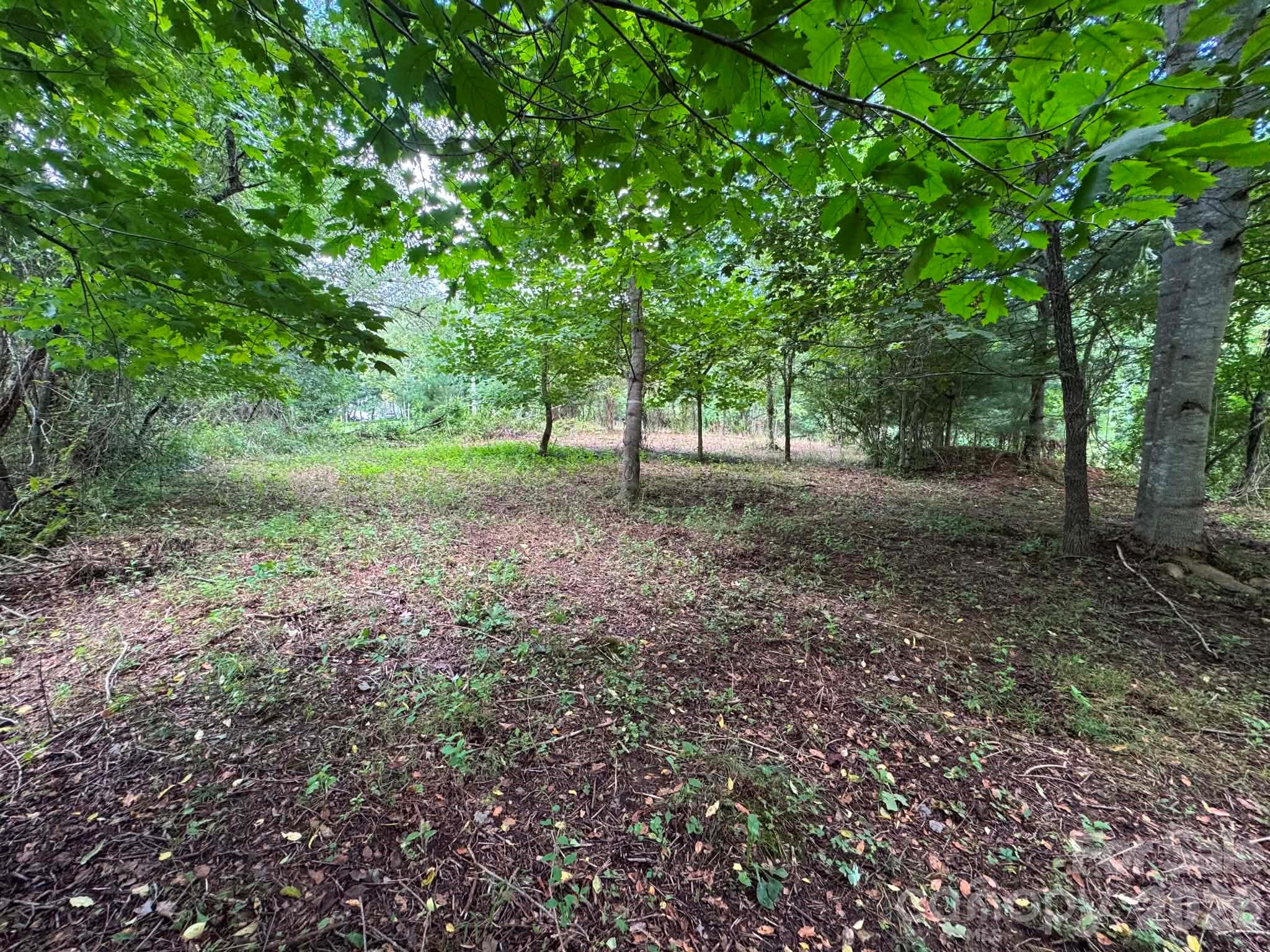 Tbd Wind Ridge Road Property Photo 13