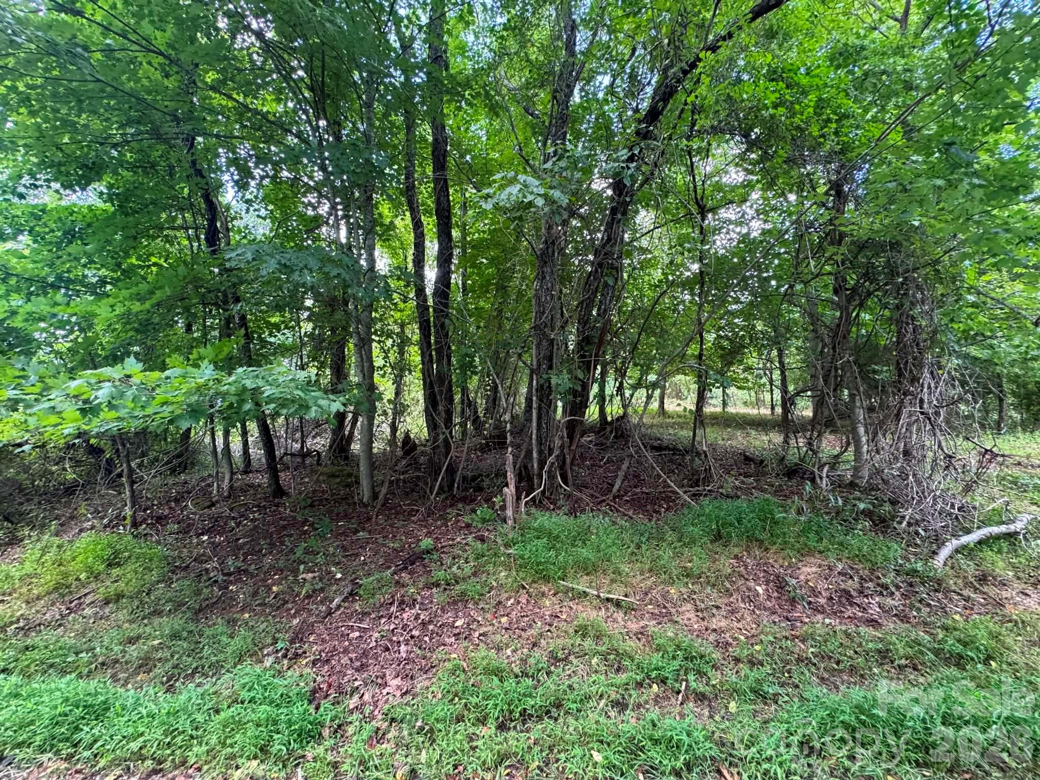 Tbd Wind Ridge Road Property Photo 15