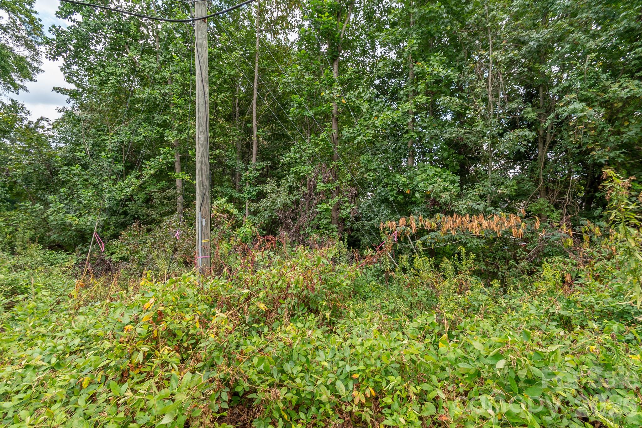 3229 James Road Property Photo 22