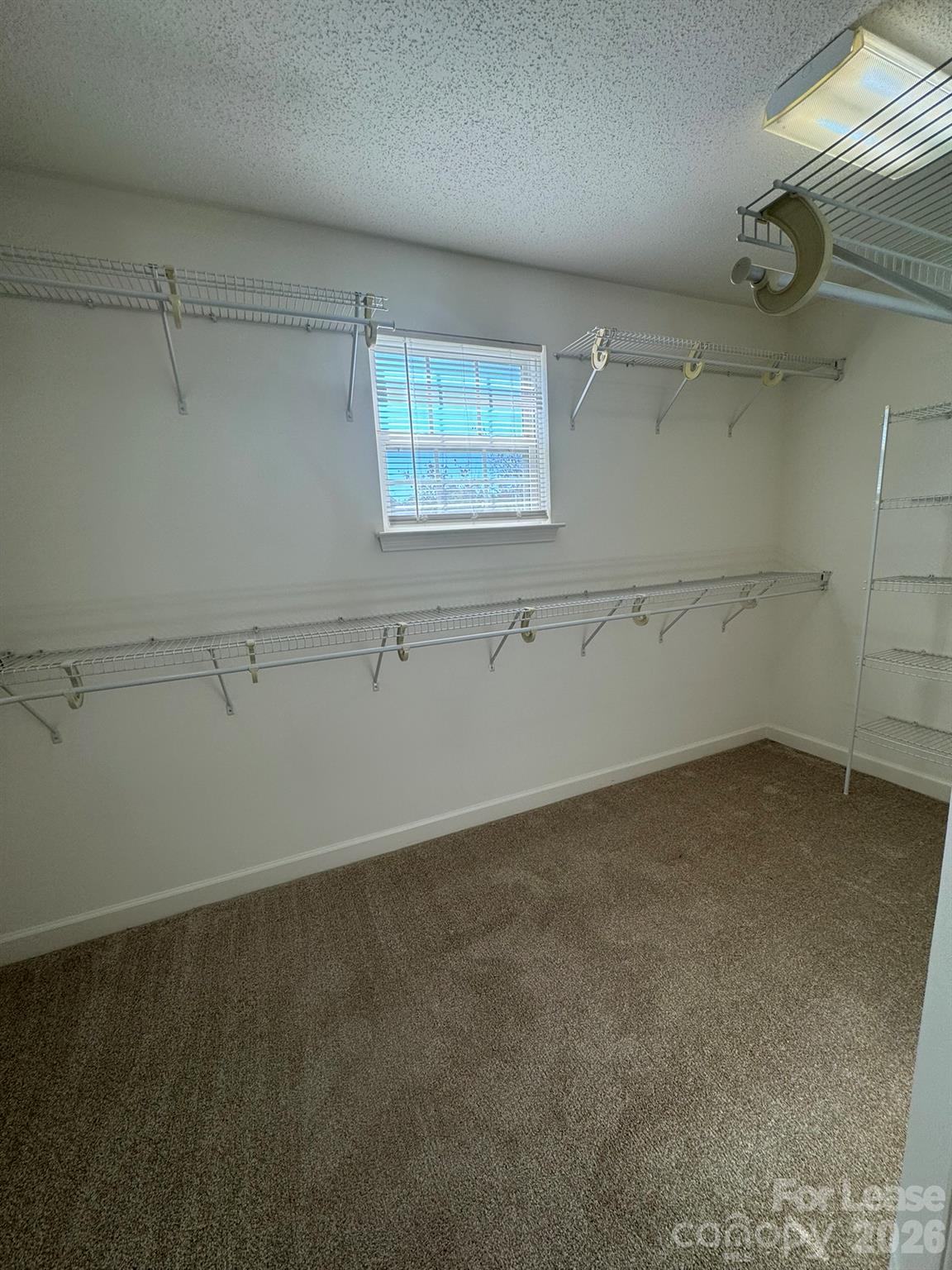 126 Clusters Circle Property Photo 21
