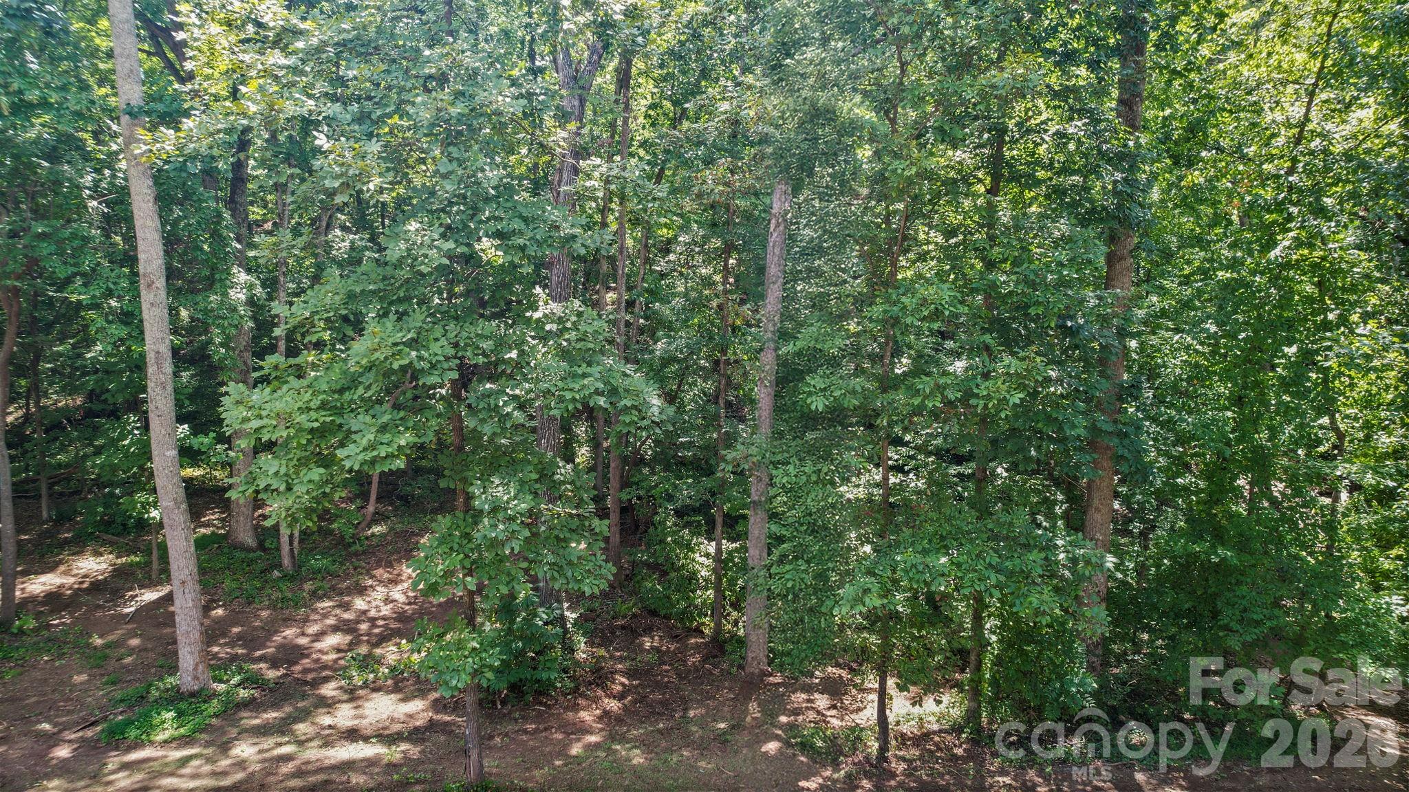 126 Hunters Field Way Property Photo 3