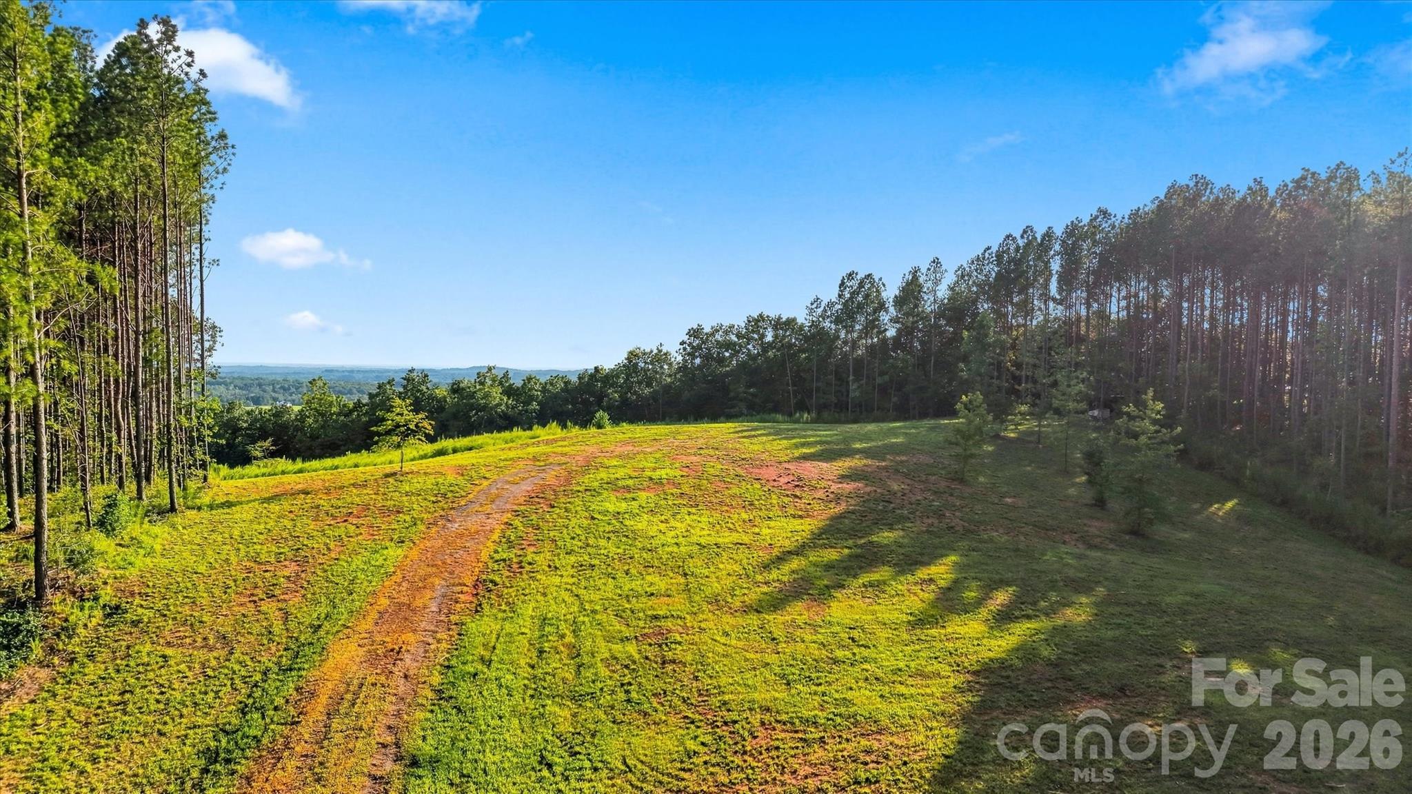 0 Moore Mountain Lane 1 Property Photo 3