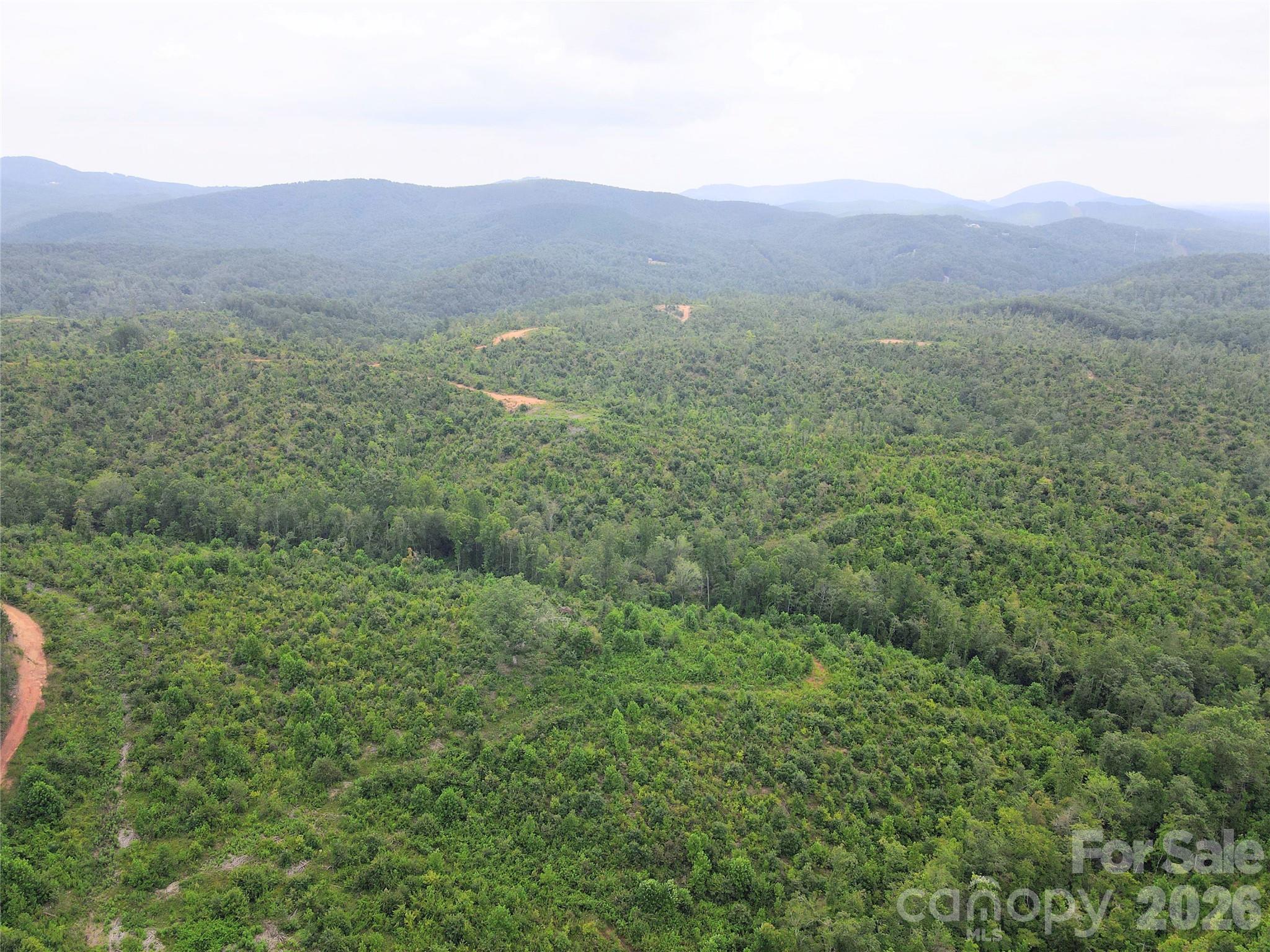 0 Youngs Creek Road Property Photo 1