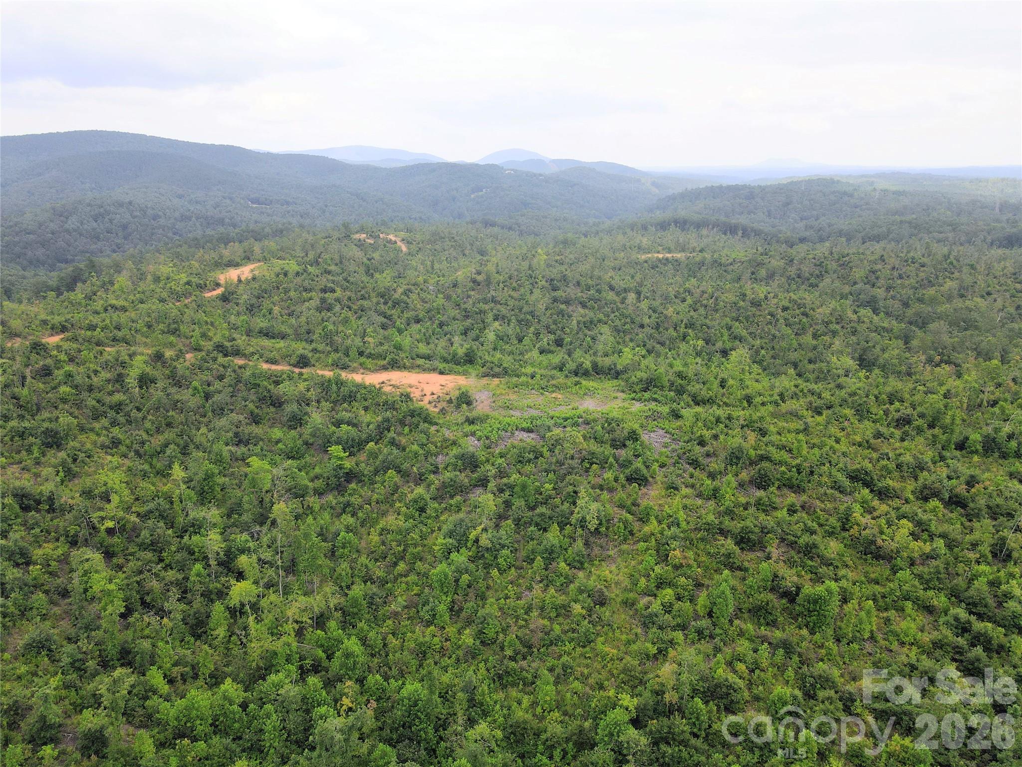 0 Youngs Creek Road Property Photo 4