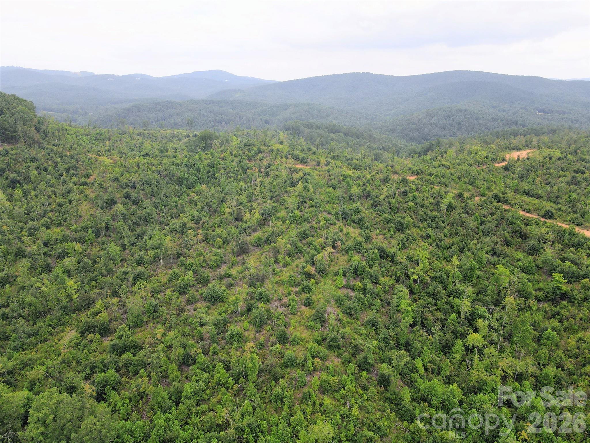 0 Youngs Creek Road Property Photo 5
