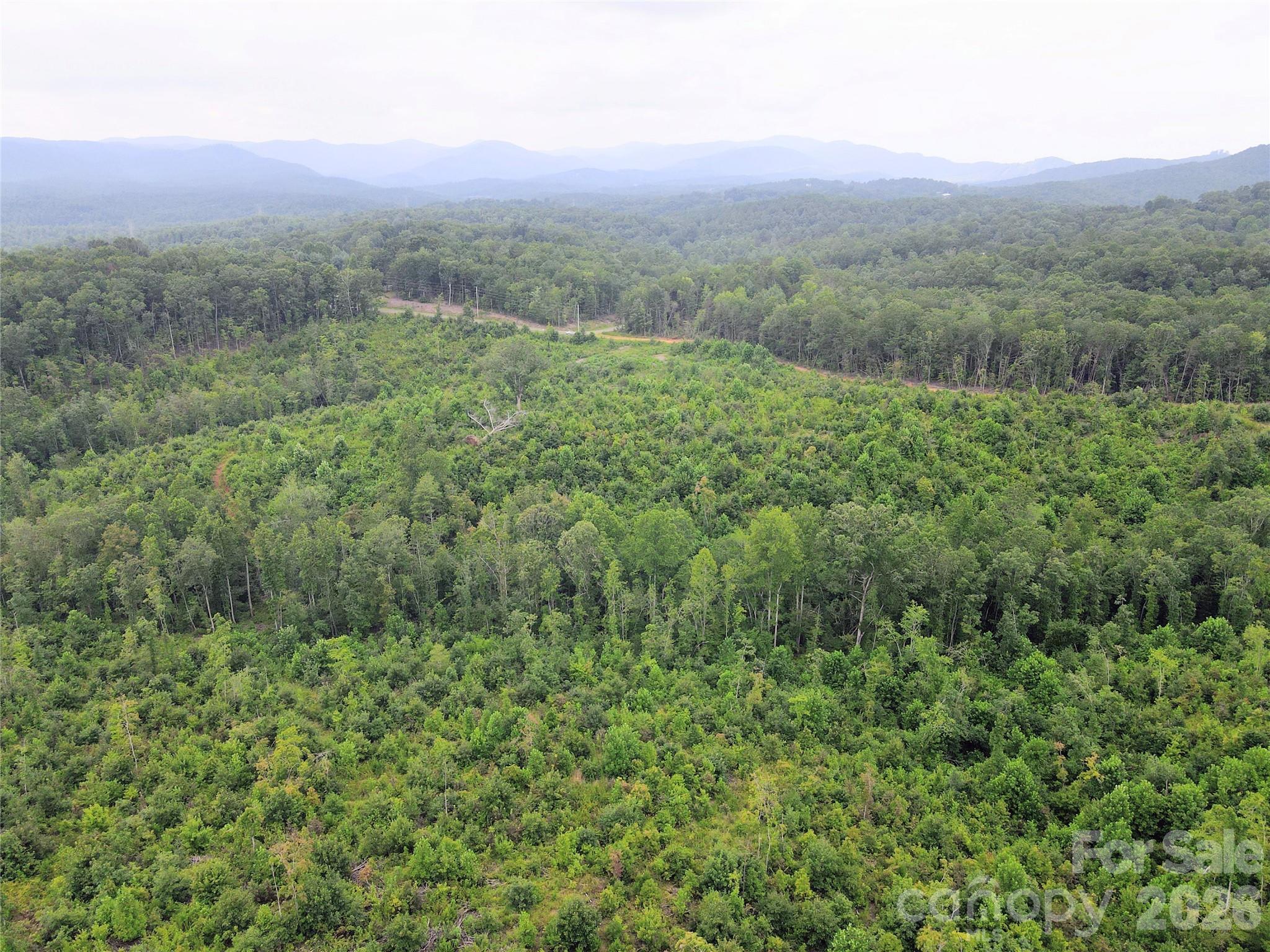 0 Youngs Creek Road Property Photo 6