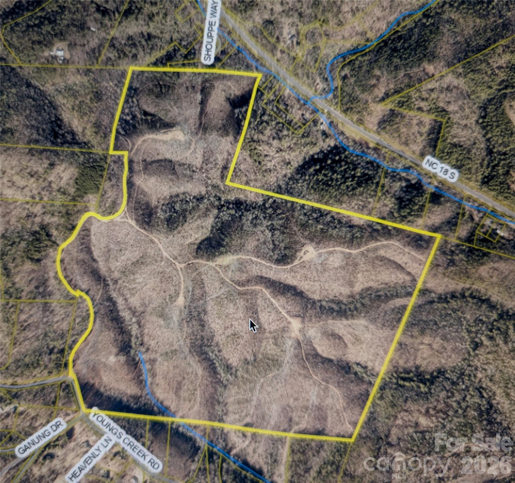 0 Youngs Creek Road Property Photo 7