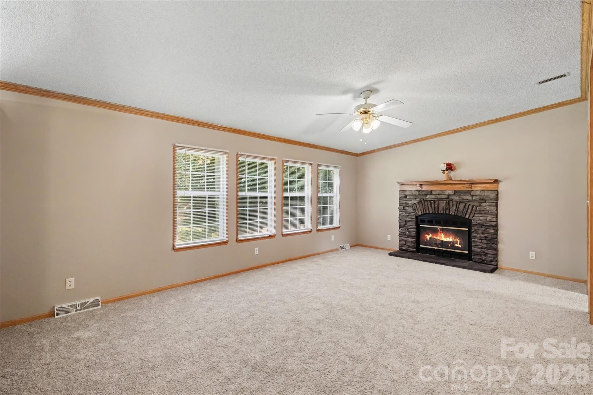 373 Laney Street Property Photo 5