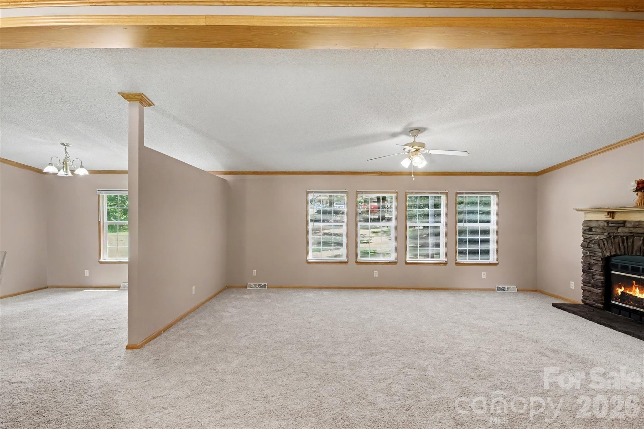 373 Laney Street Property Photo 6