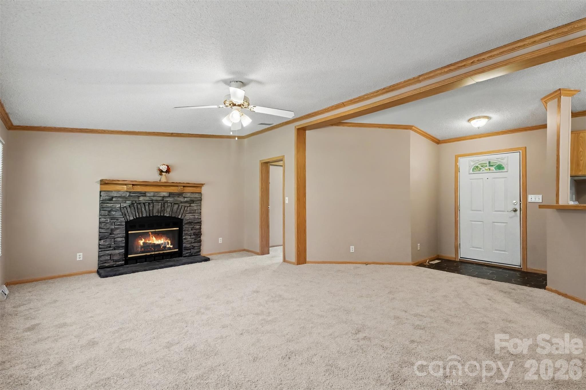 373 Laney Street Property Photo 7