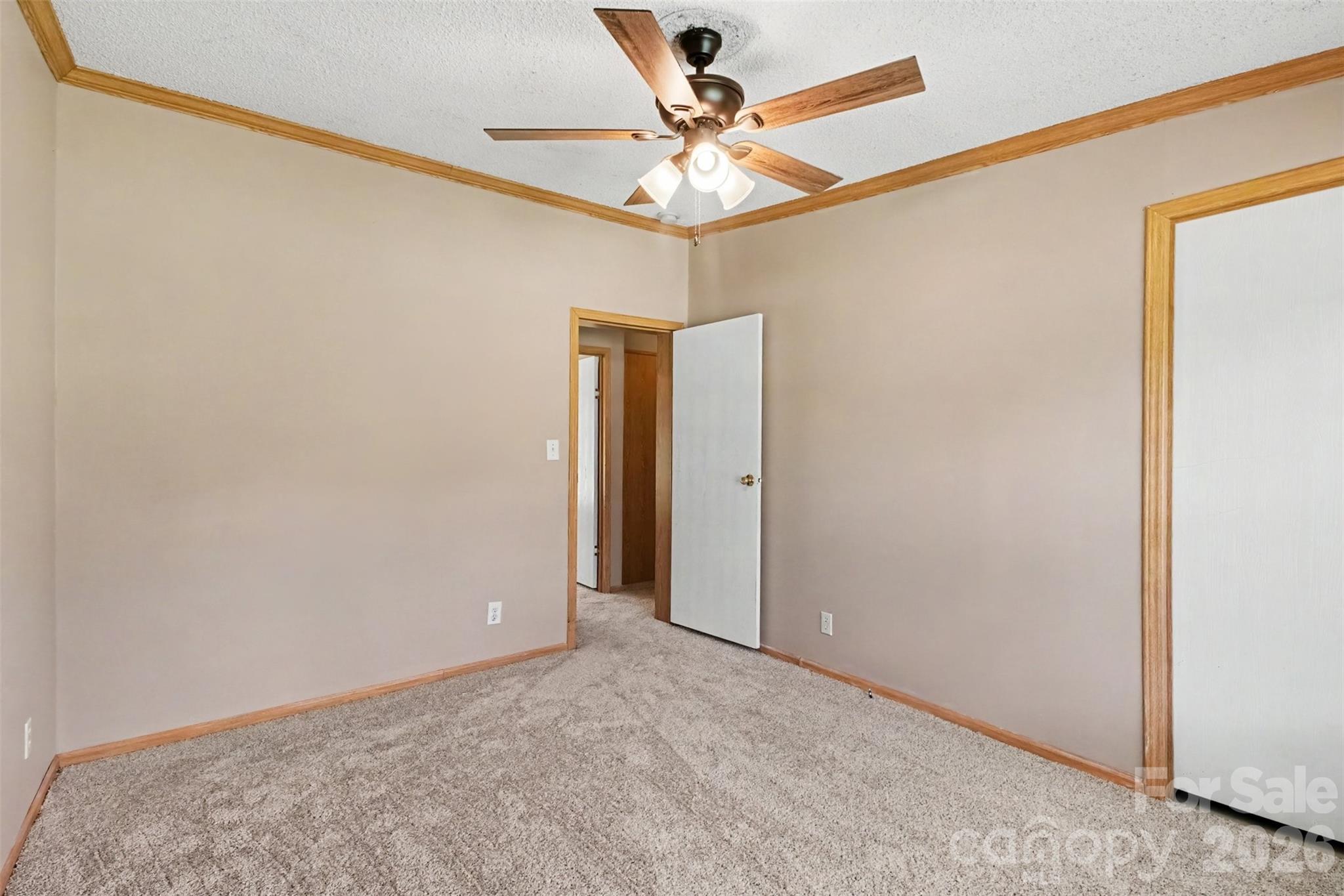 373 Laney Street Property Photo 20
