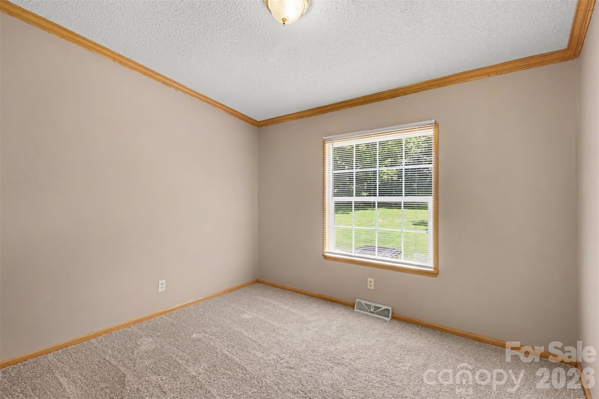 373 Laney Street Property Photo 22