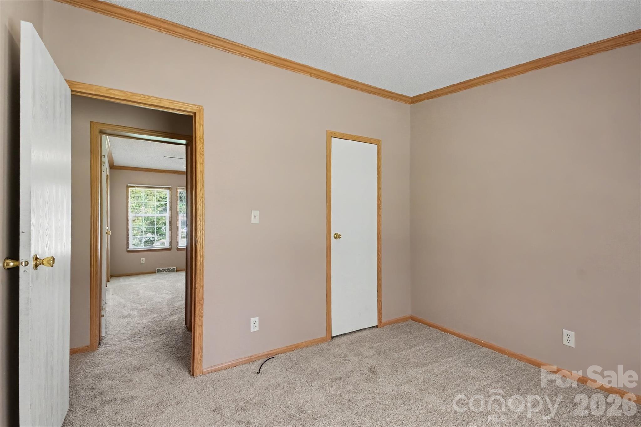 373 Laney Street Property Photo 23