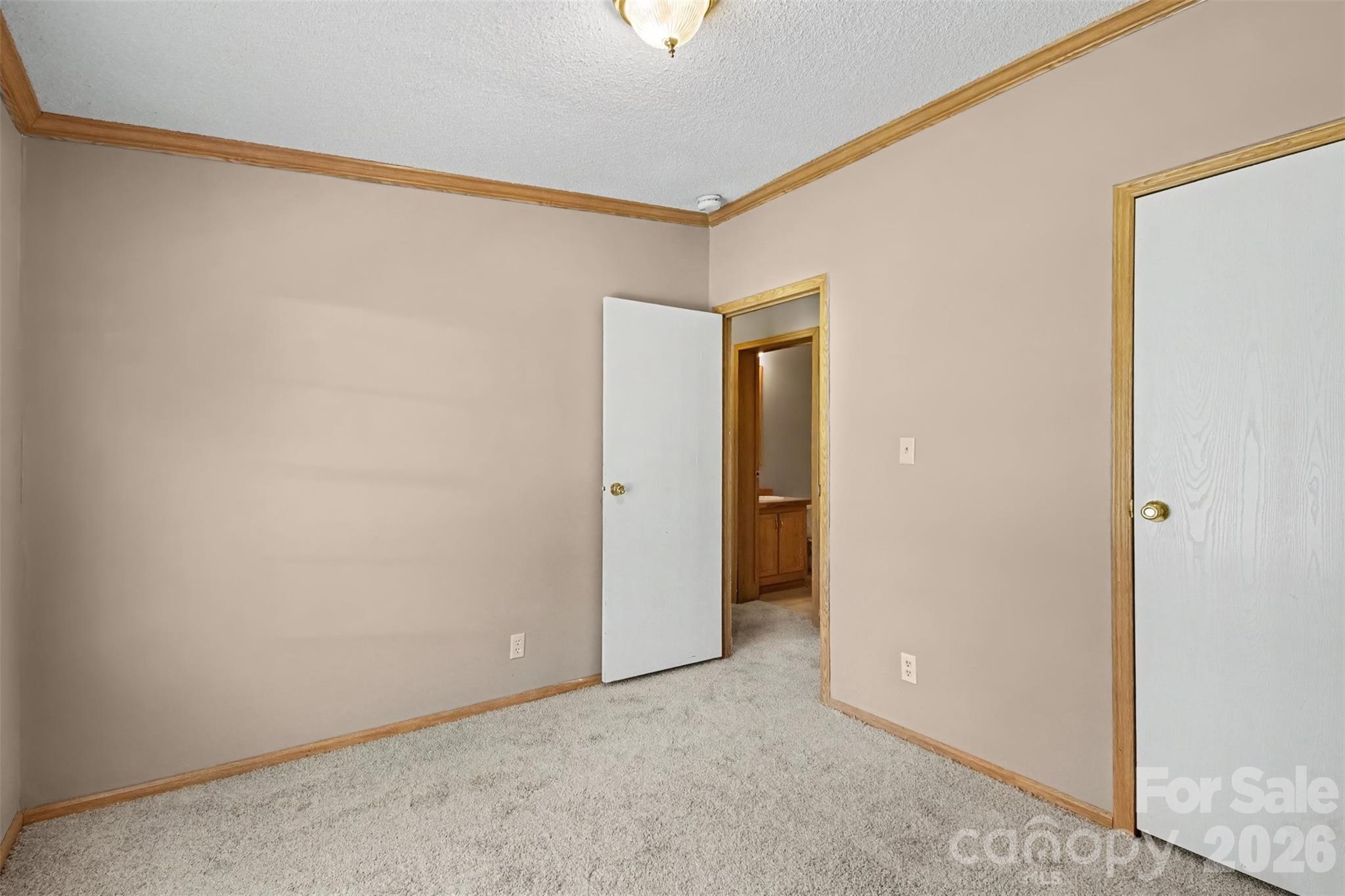 373 Laney Street Property Photo 24