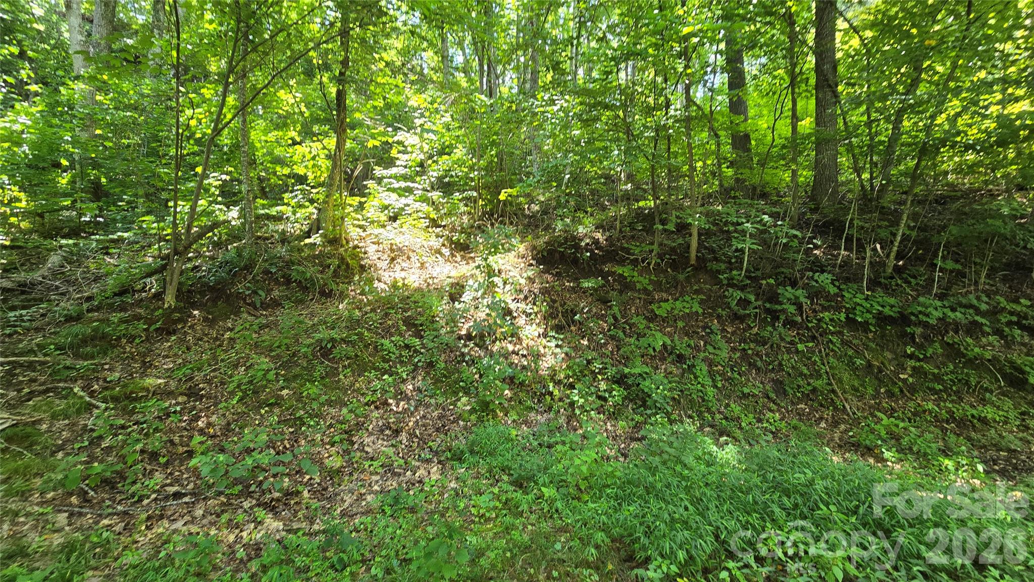 310 High Cliff Drive Property Photo 6