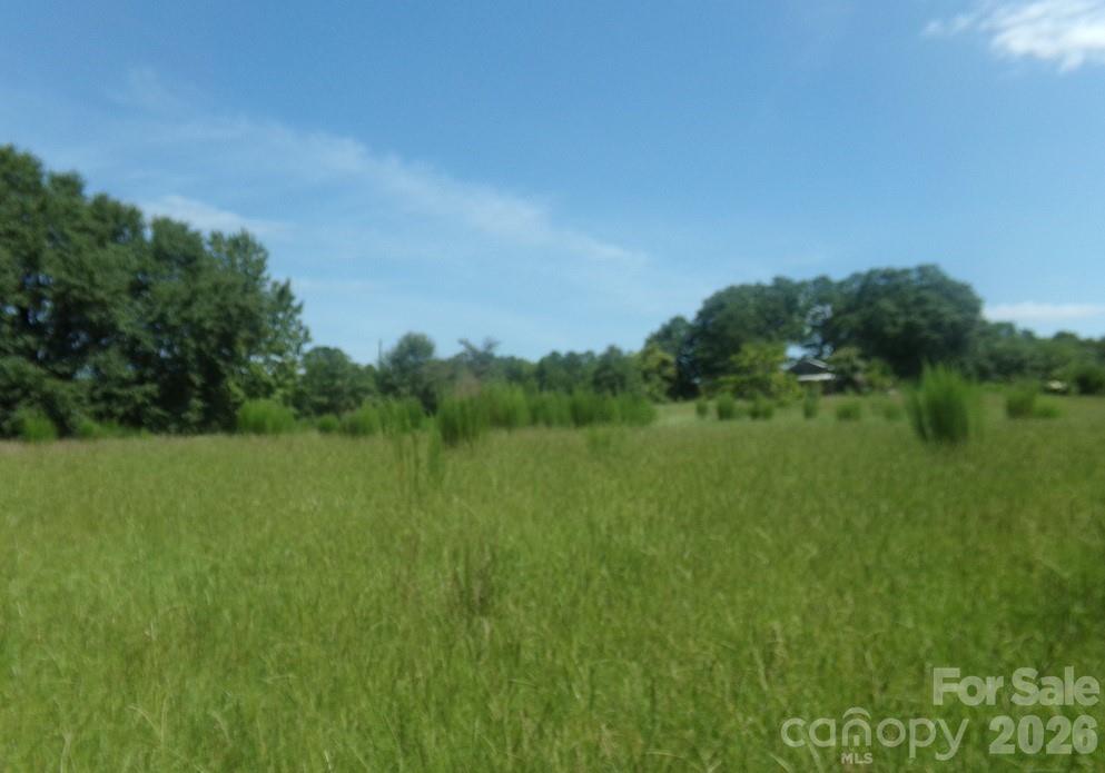 723 Lester Hicks Circle Property Photo 4