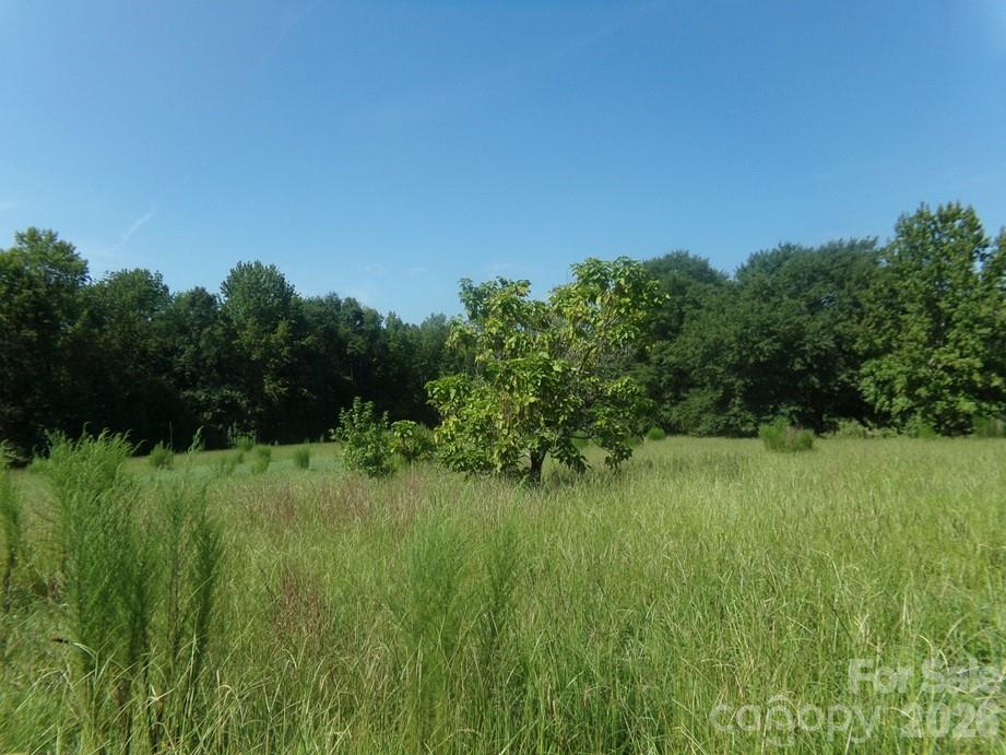 723 Lester Hicks Circle Property Photo 5