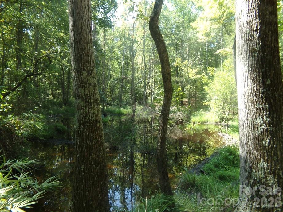 723 Lester Hicks Circle Property Photo 7