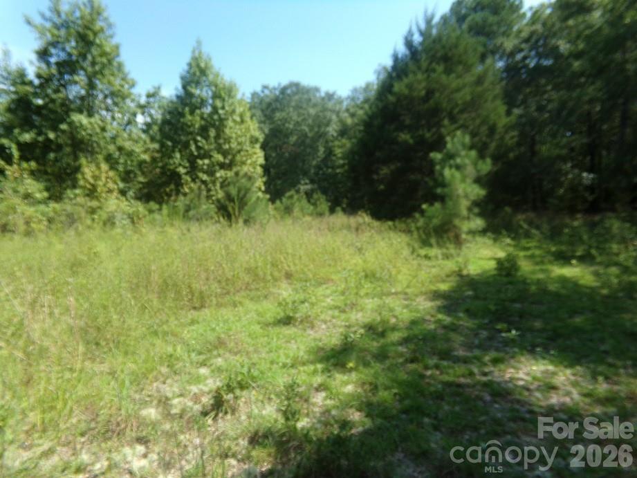 723 Lester Hicks Circle Property Photo 8