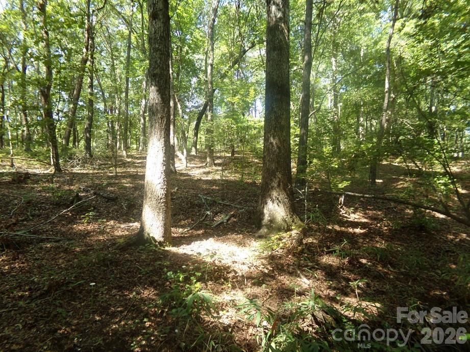 723 Lester Hicks Circle Property Photo 9