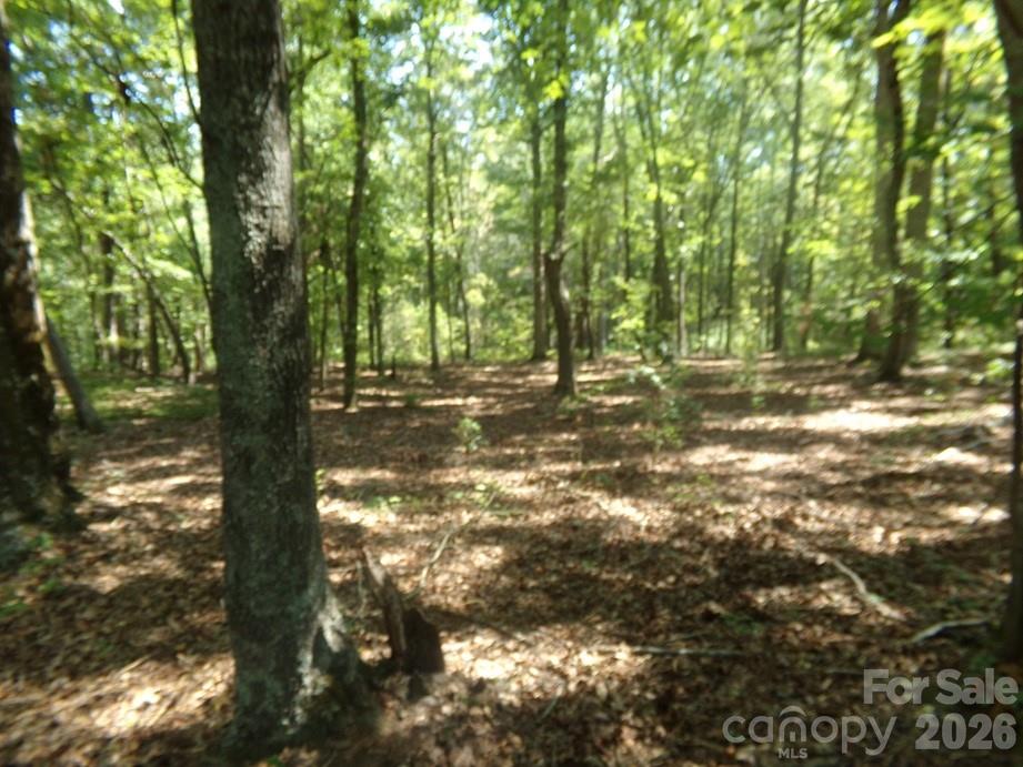 723 Lester Hicks Circle Property Photo 10