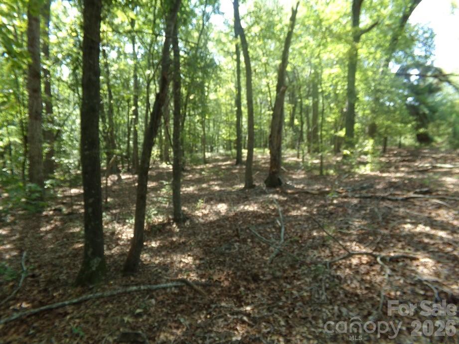 723 Lester Hicks Circle Property Photo 11