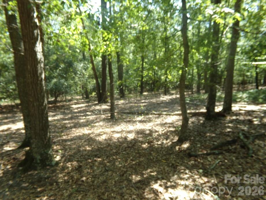 723 Lester Hicks Circle Property Photo 14