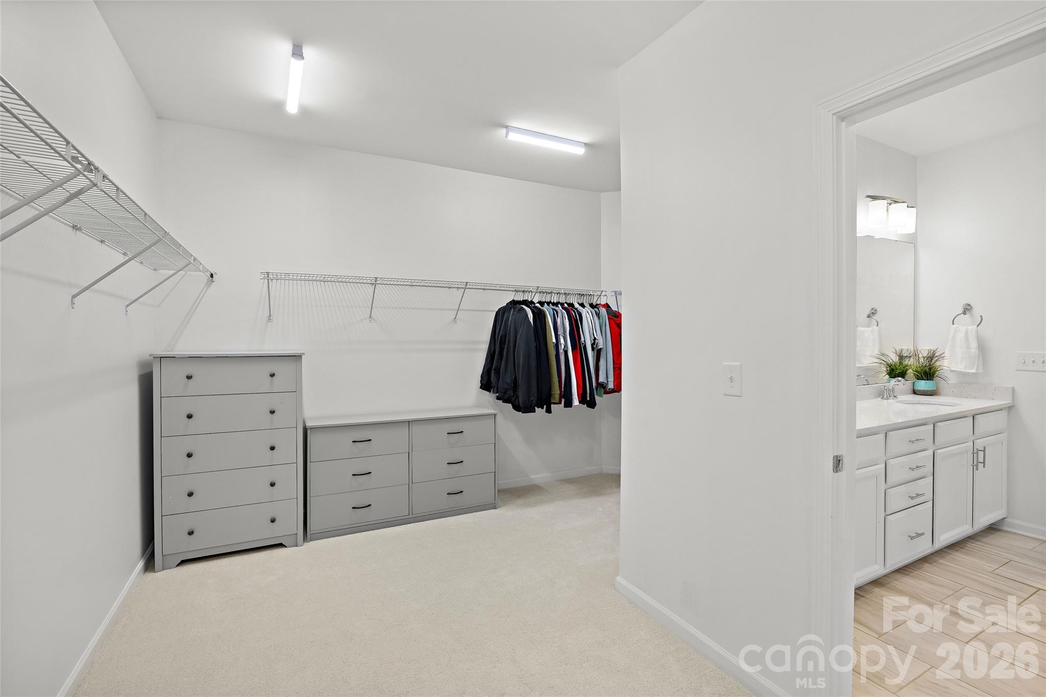1036 Moonlight Mist Road Property Photo 28