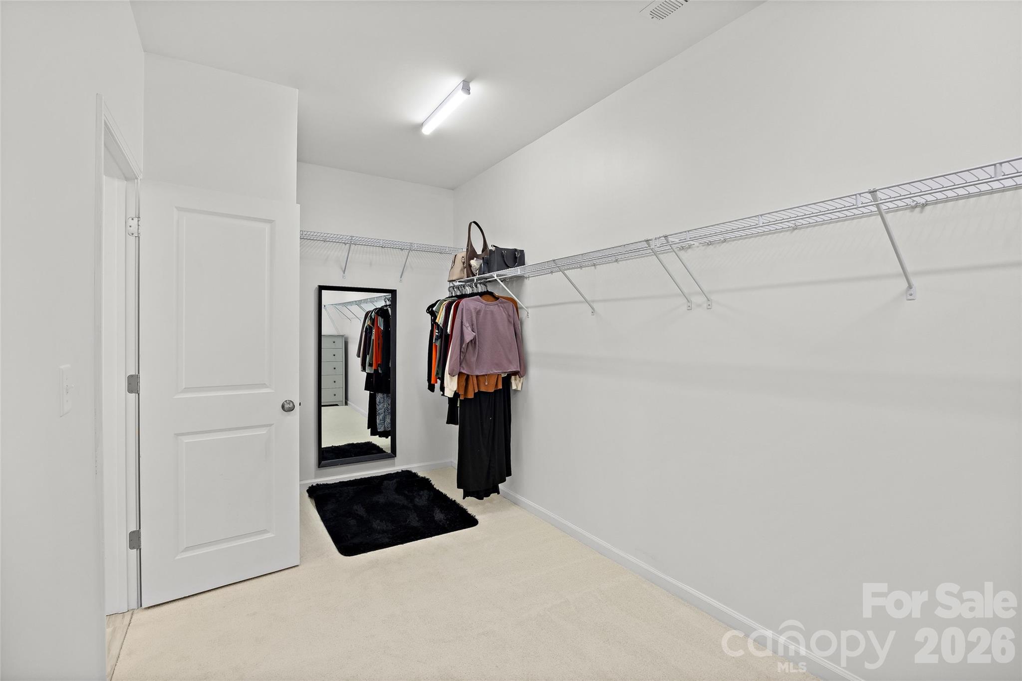 1036 Moonlight Mist Road Property Photo 29