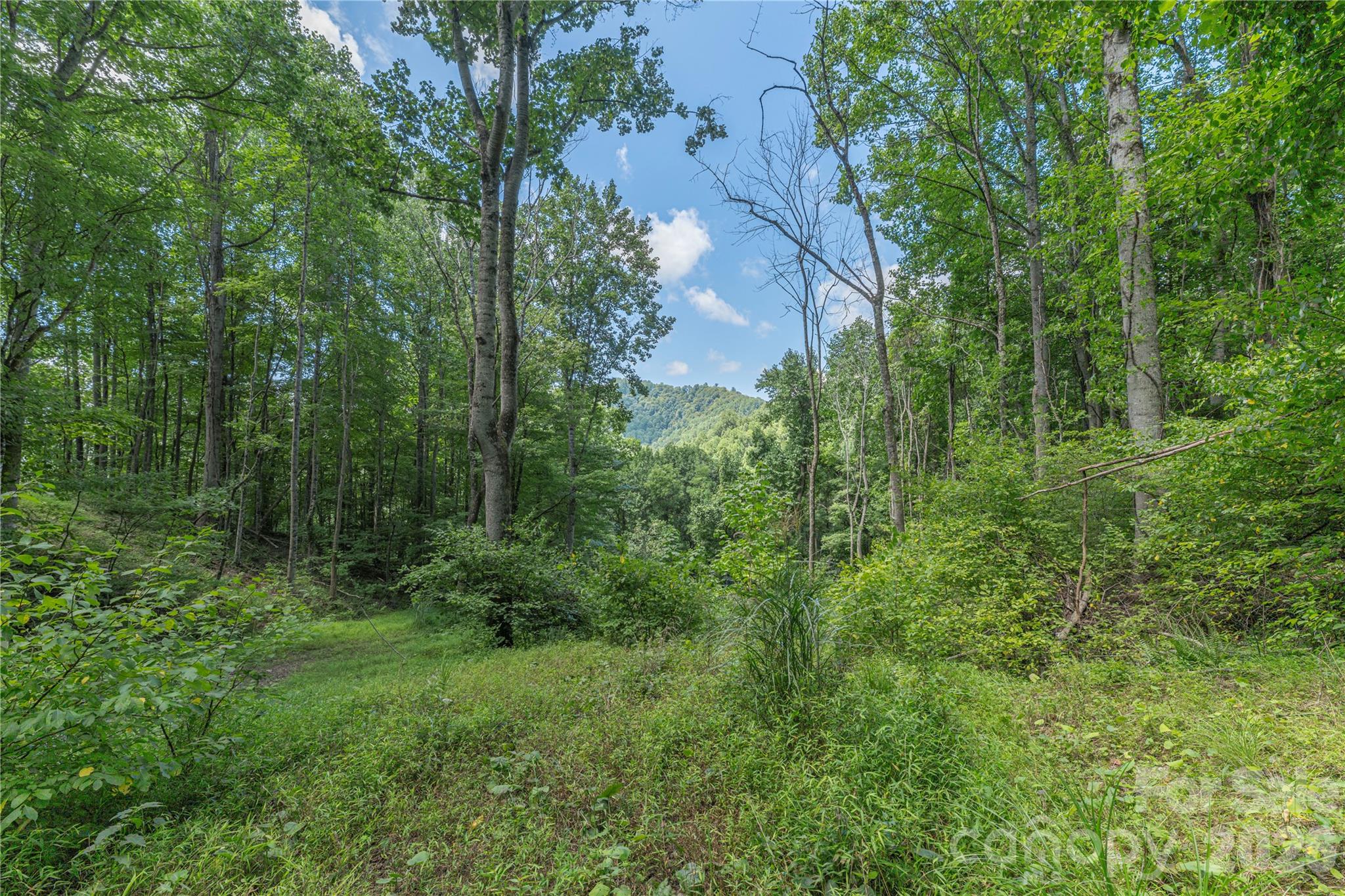 99999 Rabbit Run Property Photo 6