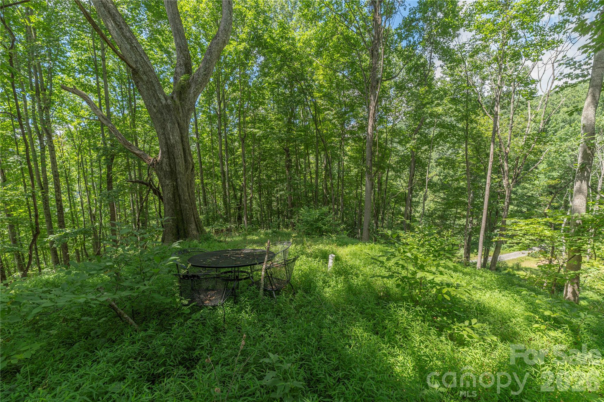 99999 Rabbit Run Property Photo 7