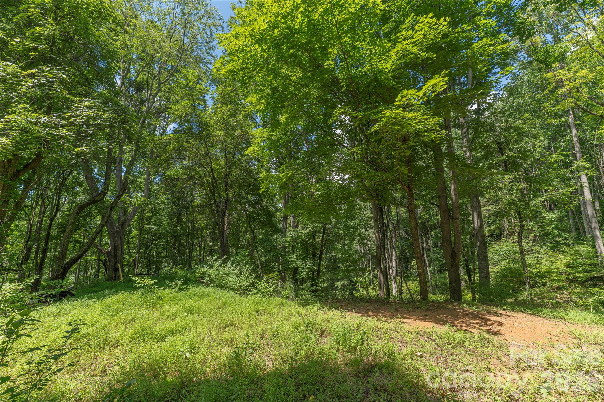 99999 Rabbit Run Property Photo 8