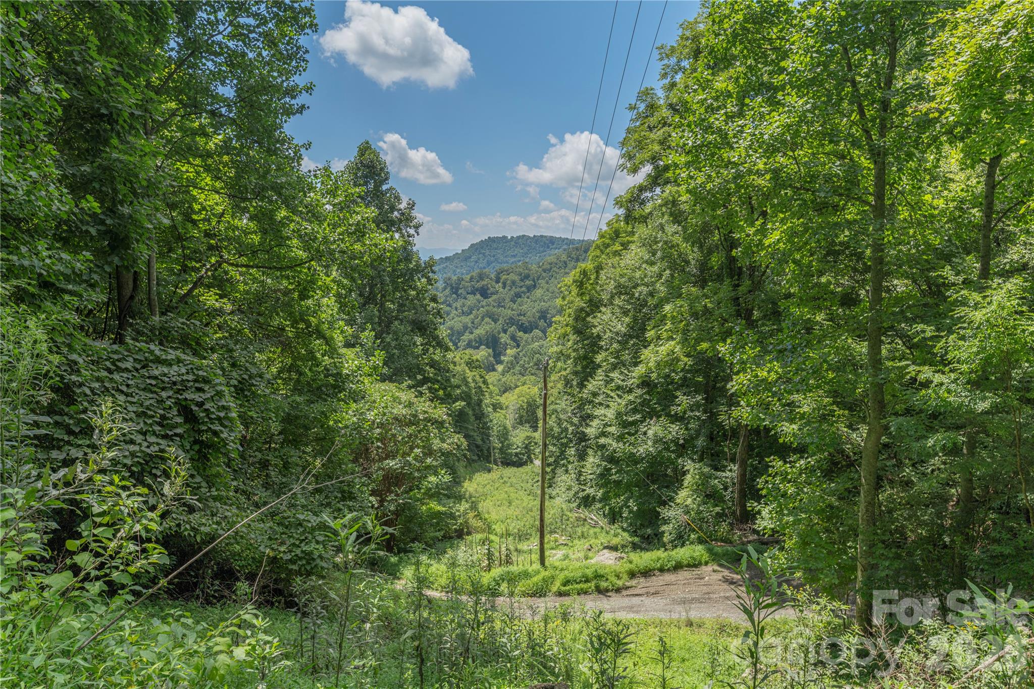 99999 Rabbit Run Property Photo 17
