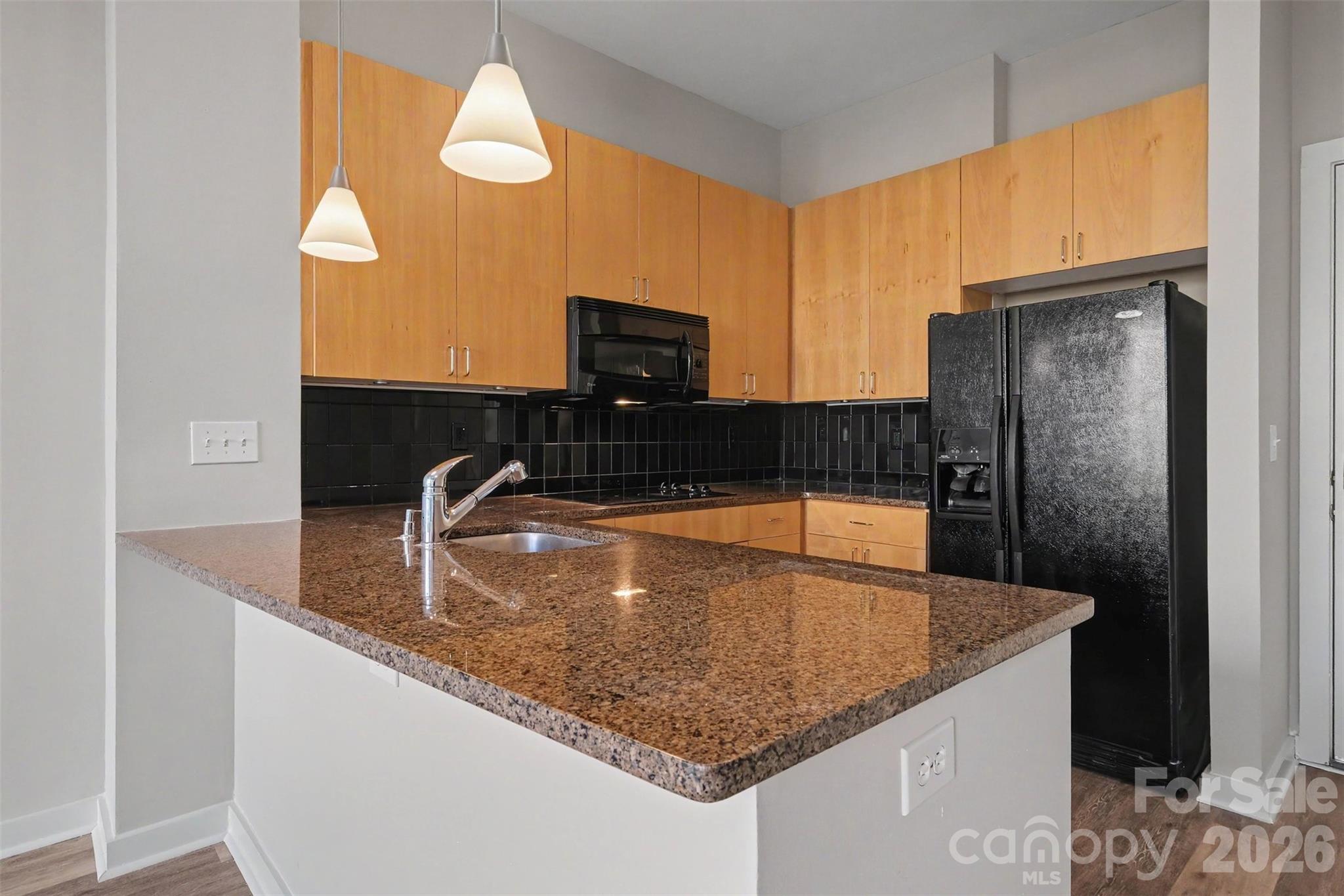 525 E 6th Street 201 Property Photo 3