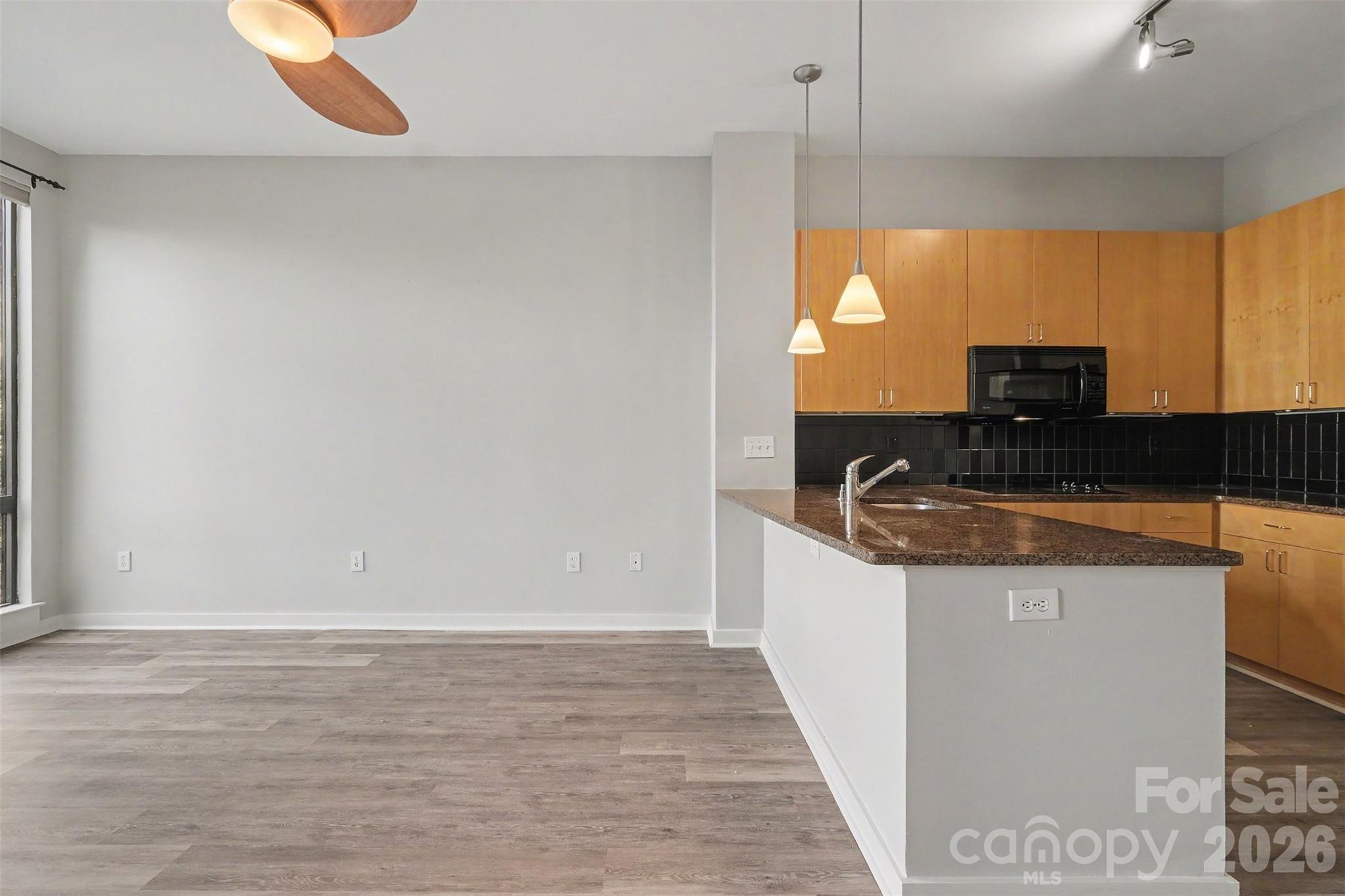 525 E 6th Street 201 Property Photo 5