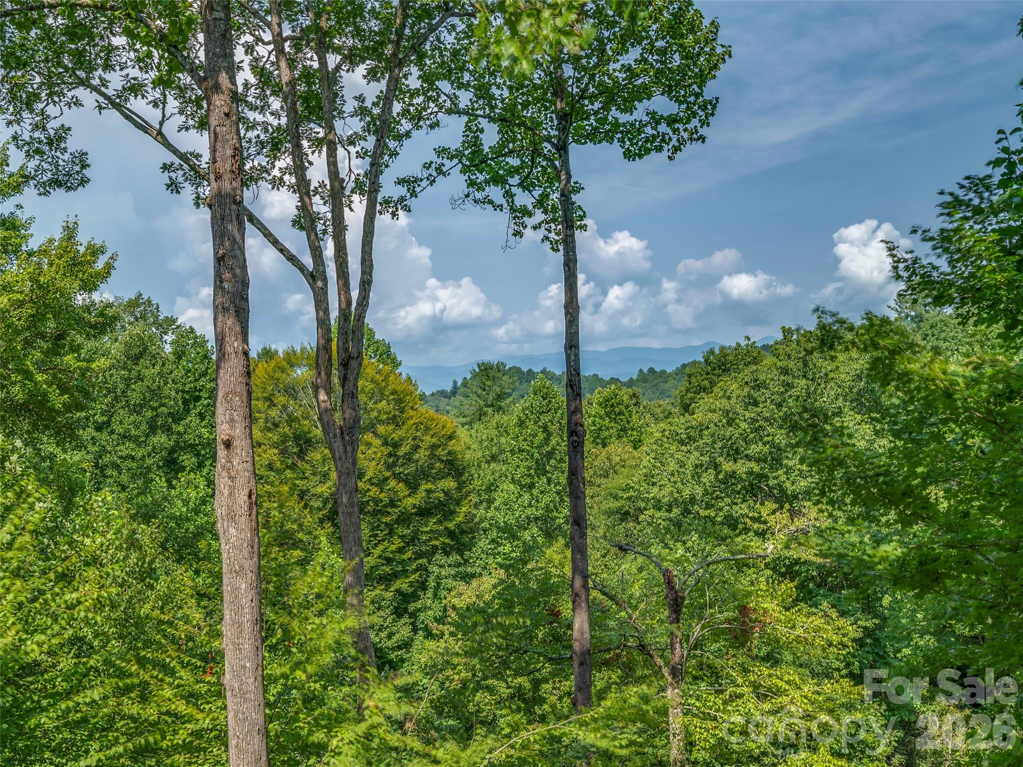 75 Old Hickory Trail Property Photo 27